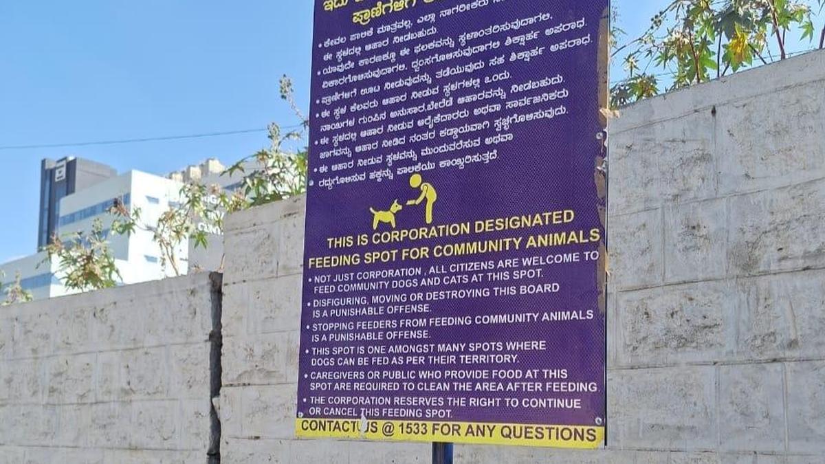 Designated dog-feeding spots fail to serve purpose in many areas in Bengaluru