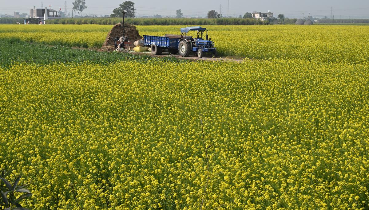 thehindu.com - Pti - GTRI cautions against imports of GM farm products from U.S.; may affect India's agricultural exports