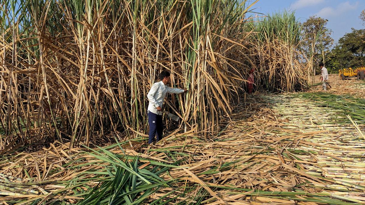 CM urged to reopen sugar factory in Bidar under the long-term lease model