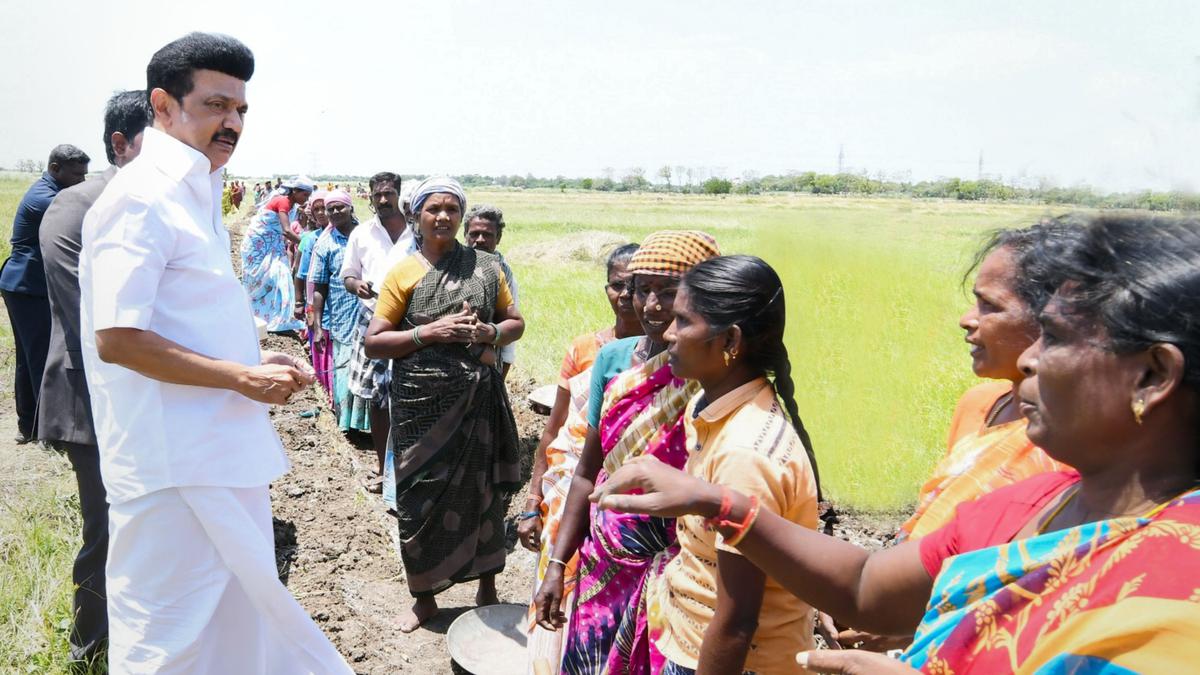 T.N. CM Stalin inspects desilting of irrigation channels in Thanjavur