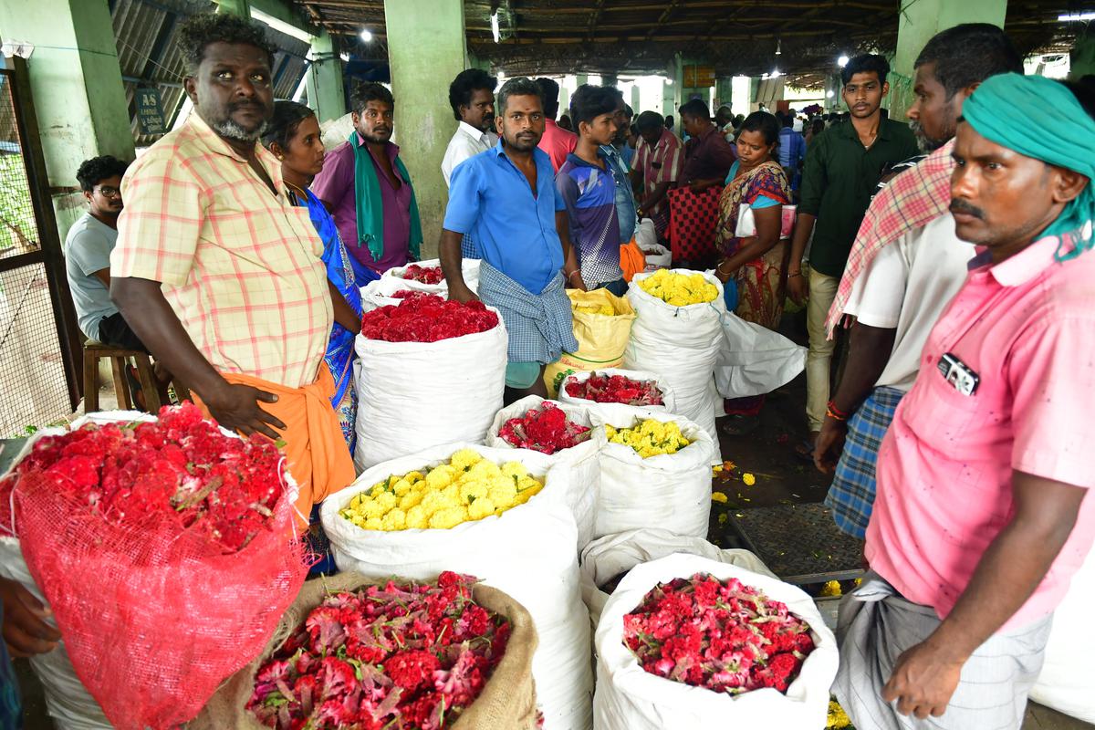 Poor supply and high demand jack up price of Jasmine in Dindigul market