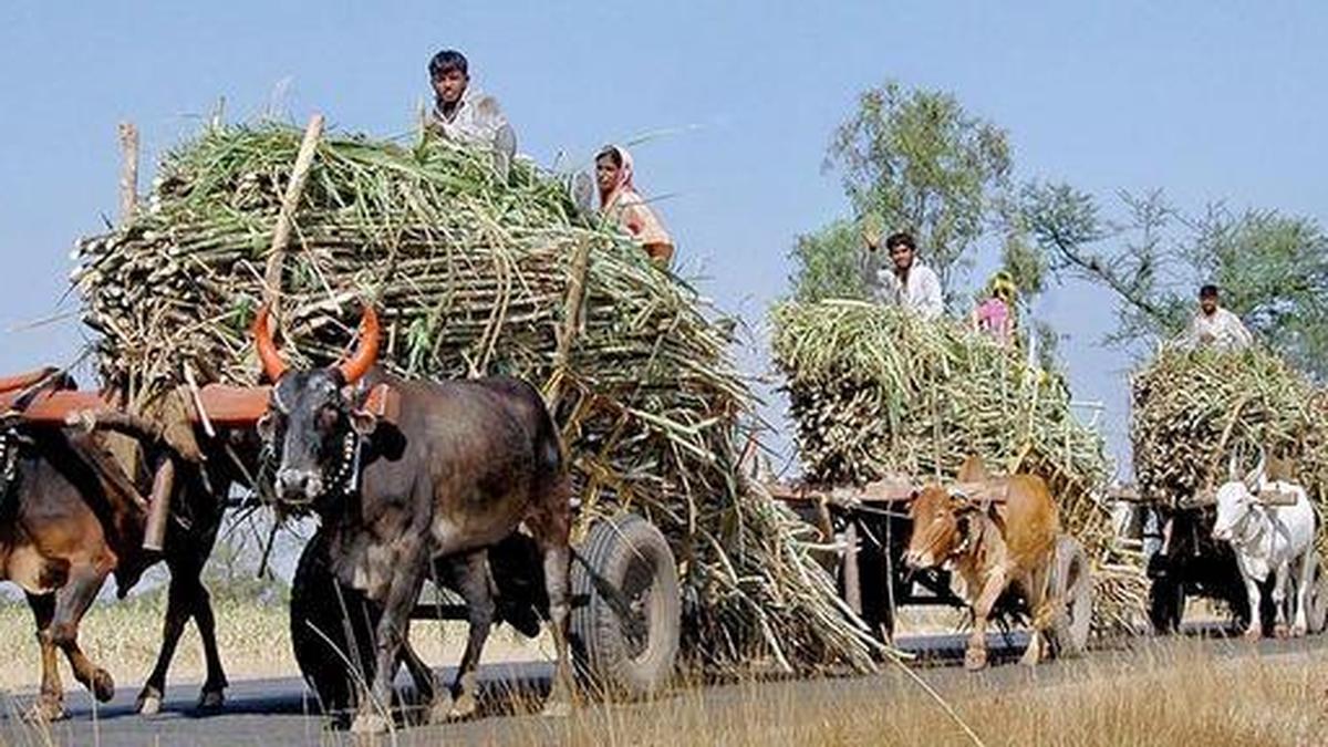 Farmers threaten to resume agitation if sugarcane arrears are not paid in time
