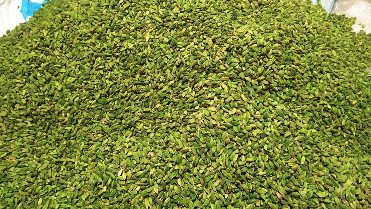 Spices Board directs auction companies to maintain proper moisture level in dried cardamom