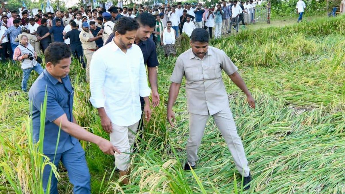 NDA government in Andhra Pradesh pursuing anti-farmer policies, says YSRCP president Jagan Mohan Reddy