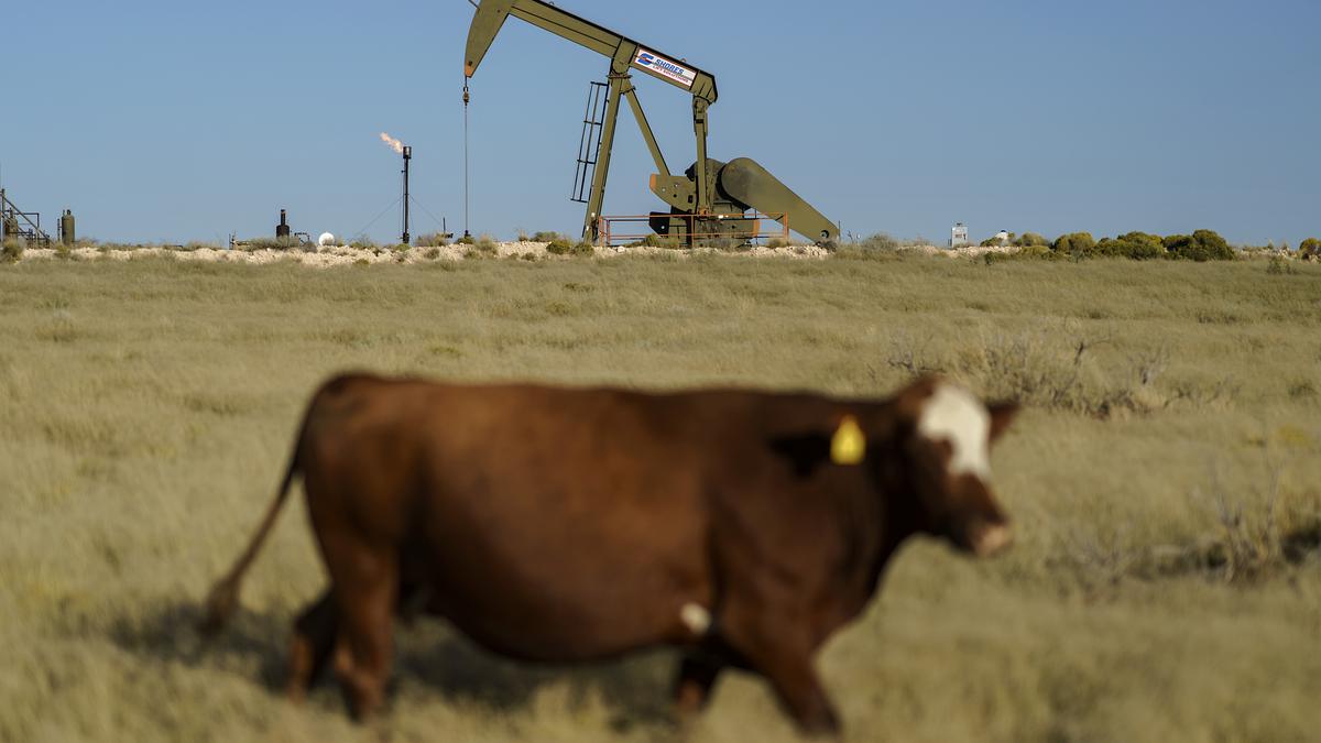 Study says microbes, not fossil fuels, produced most new methane
Premium