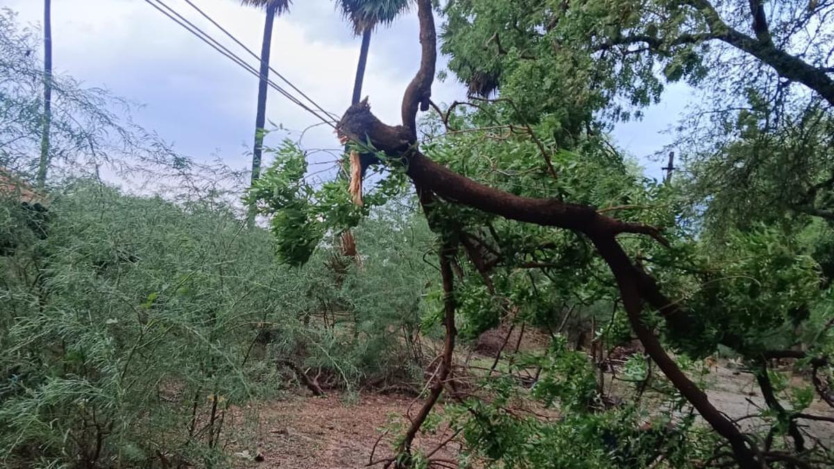 Rain lashes Kalayarkoil, Tirupathur and Nerkuppai