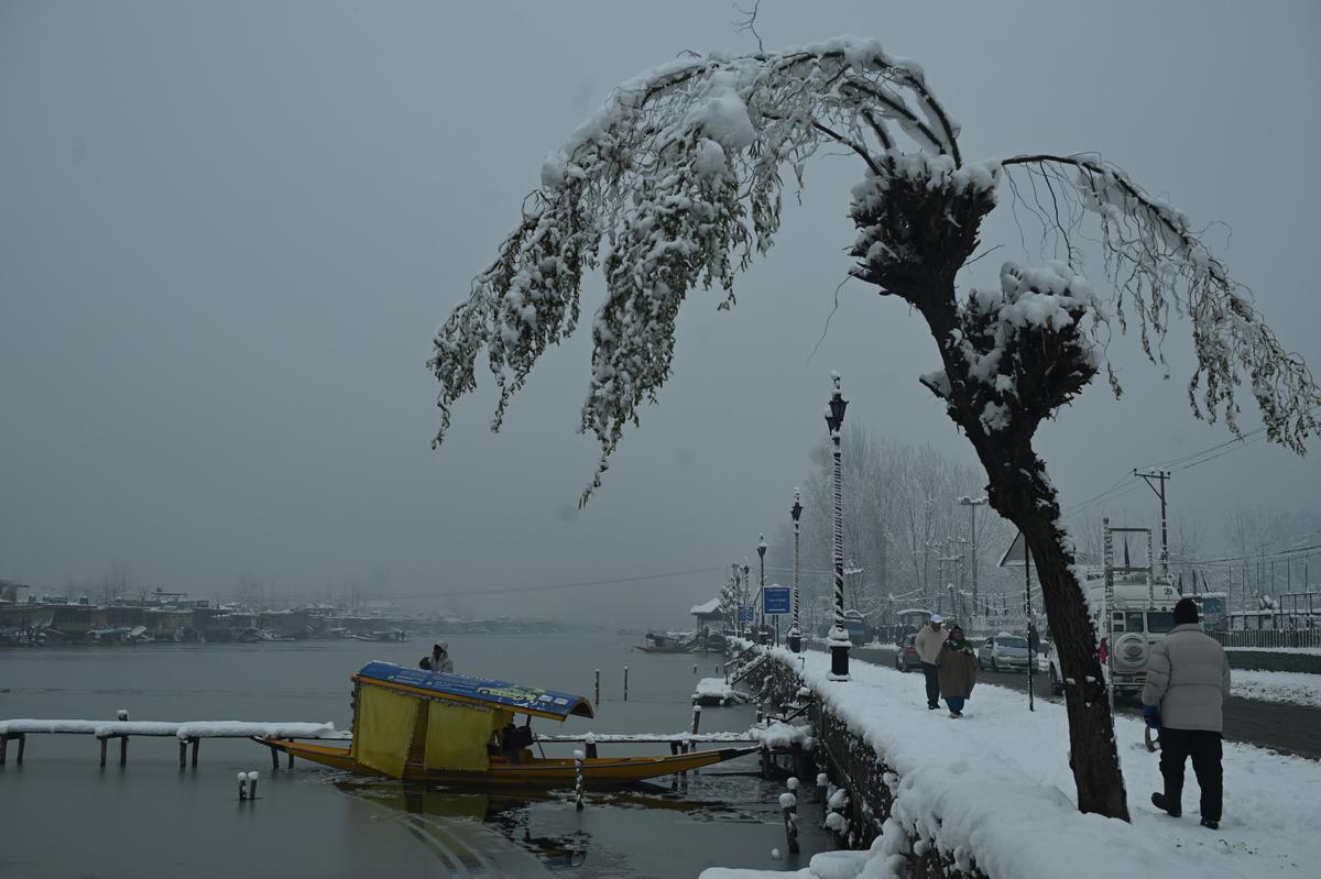 Shikara moored banks of  Dal Lake during heavy snowfall in Srinagar, 28 December 2024. 