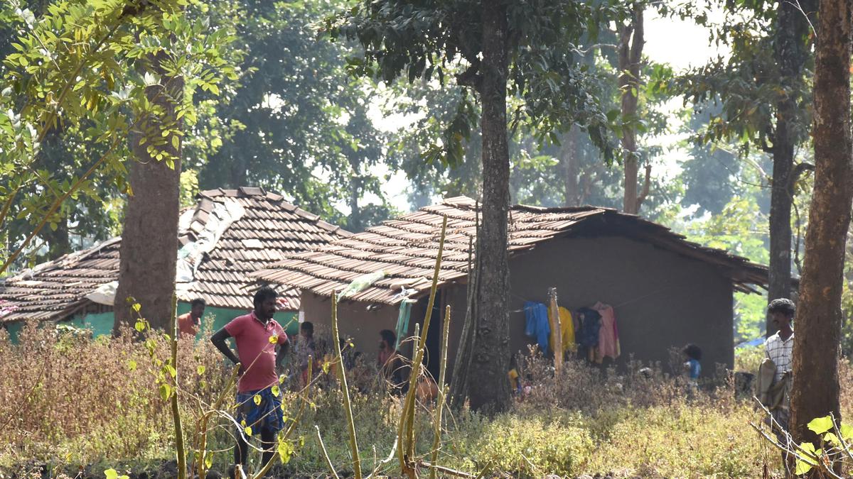 Issue project displaced person certificates to forest dwellers moving out, environmentalists tell government