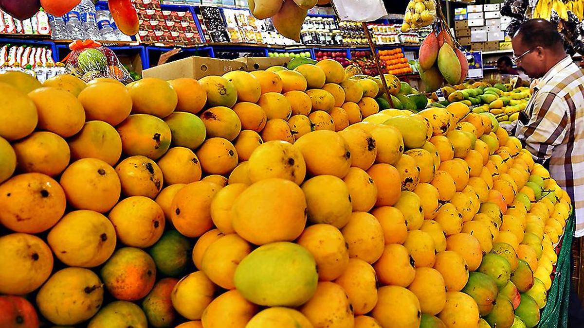 Mango and jackfruit mela in Shivamogga from June 5
