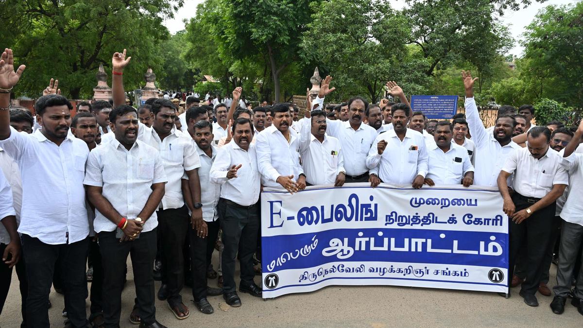 Advocates stage demonstration in Tirunelveli demanding suspension of e-filing system