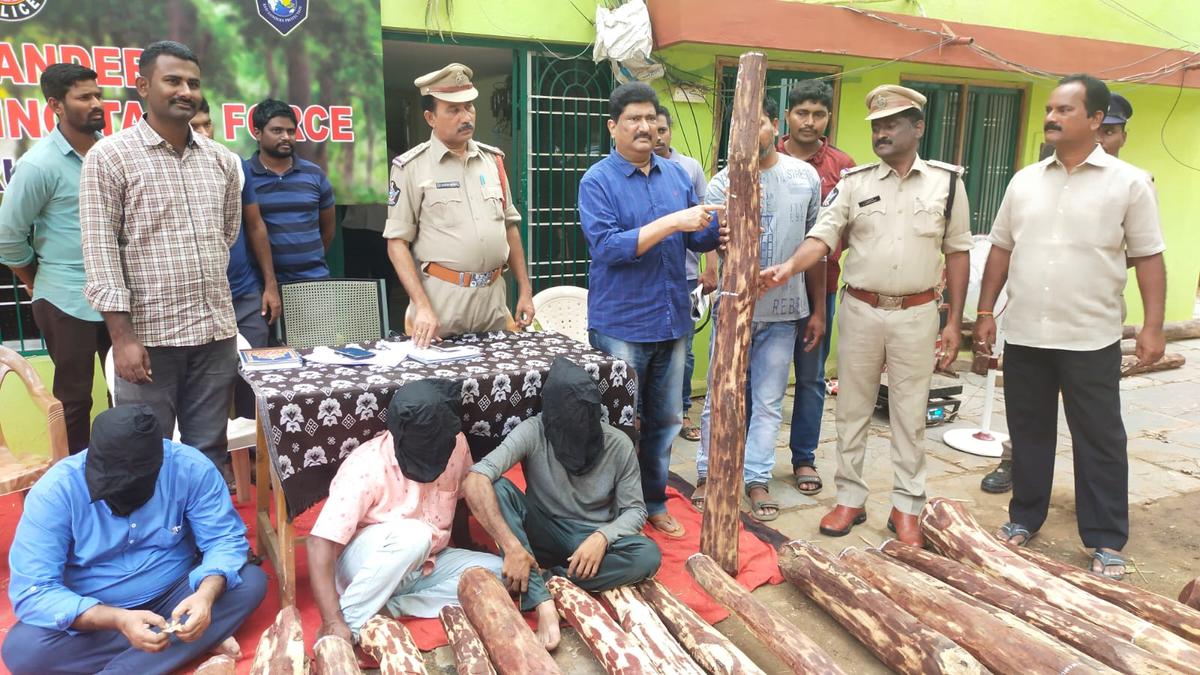Red sanders worth ₹75 lakh seized, three held