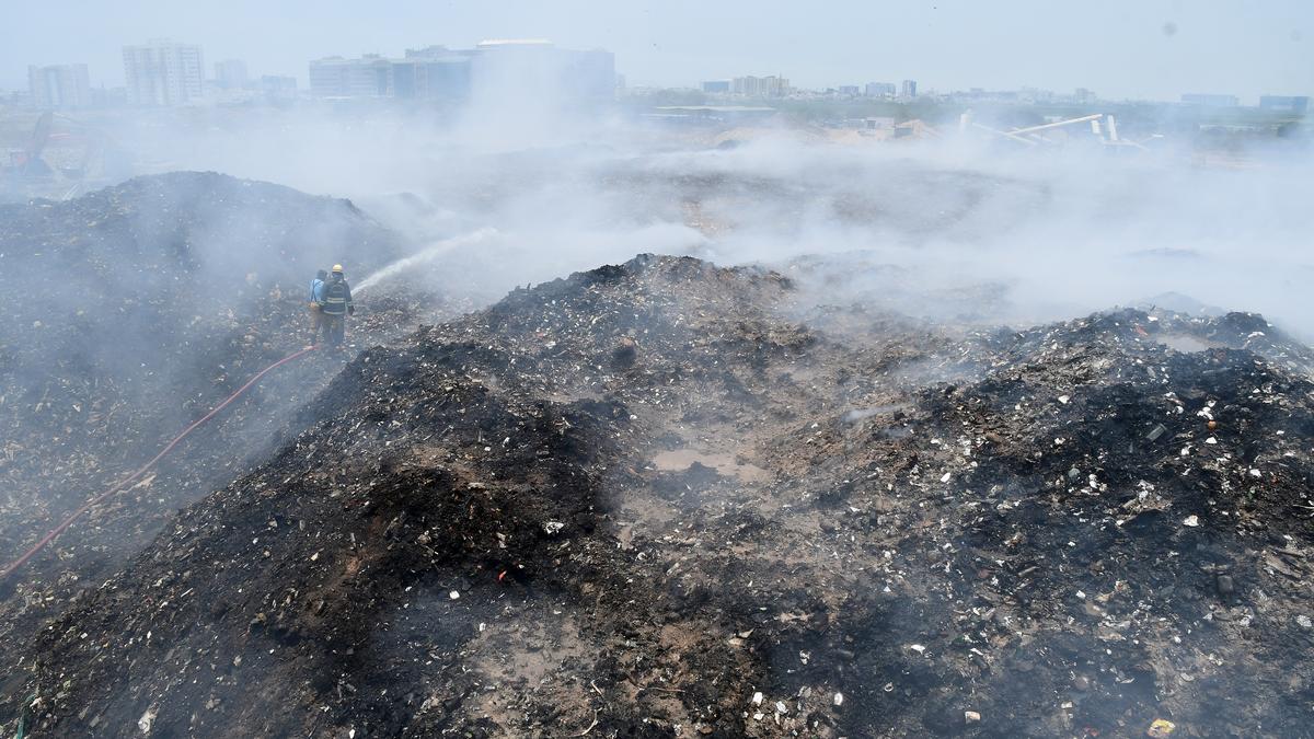 Citizens to launch agitation to protect Pallikaranai marshland