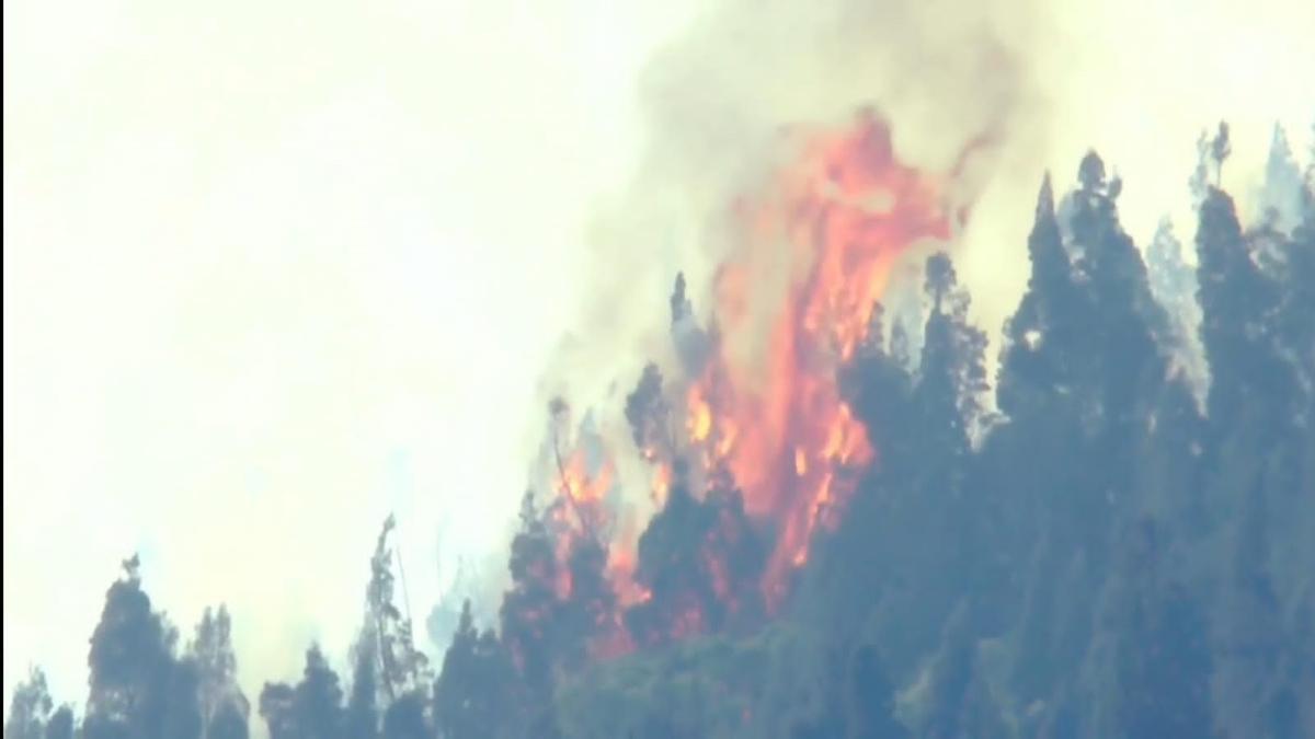 As forest fire blazes in Coonoor for 4th day, 150 Forest personnel deployed, IAF assistance requested