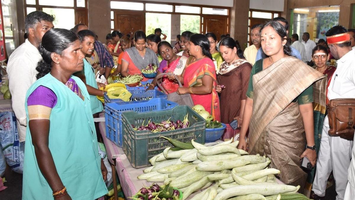 Prevent sewage water from mixing in Thirumanimutharu: Salem farmers