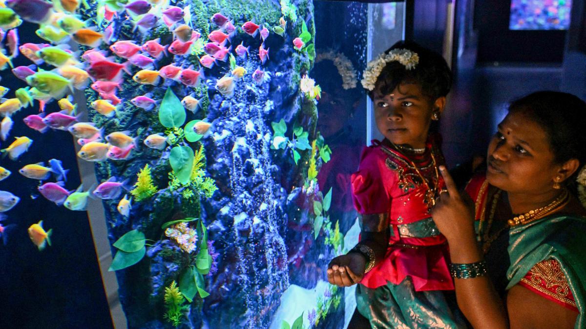 Aquarium inaugurated in Tirunelveli; rebuilt Valliyoor bus stand becomes operational