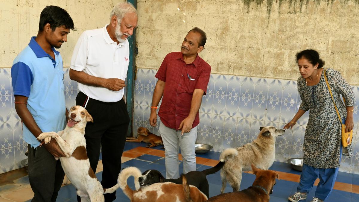 Animal birth control measures will ensure healthy street dog population, says expert