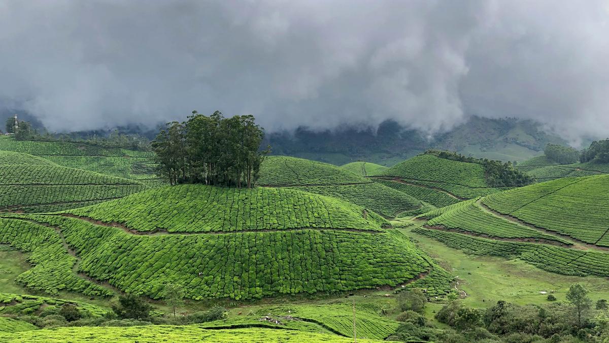 Untimely monsoon arrival affects tourism sector in Idukki