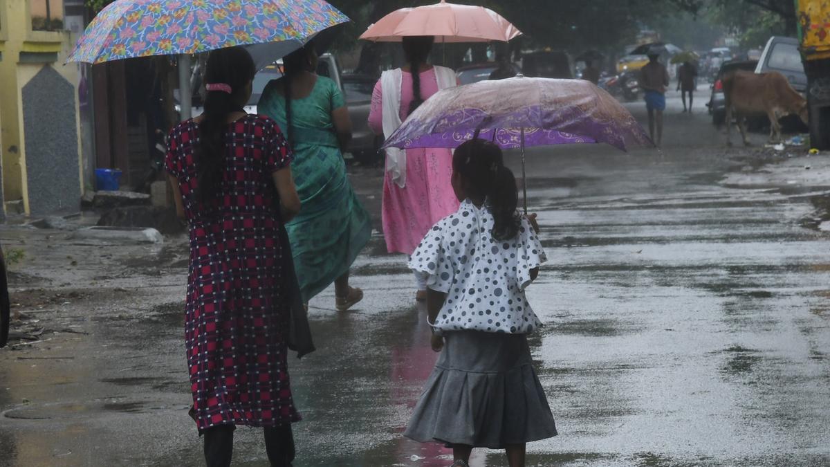 Tamil Nadu may experience scattered rains from December 25: IMD
