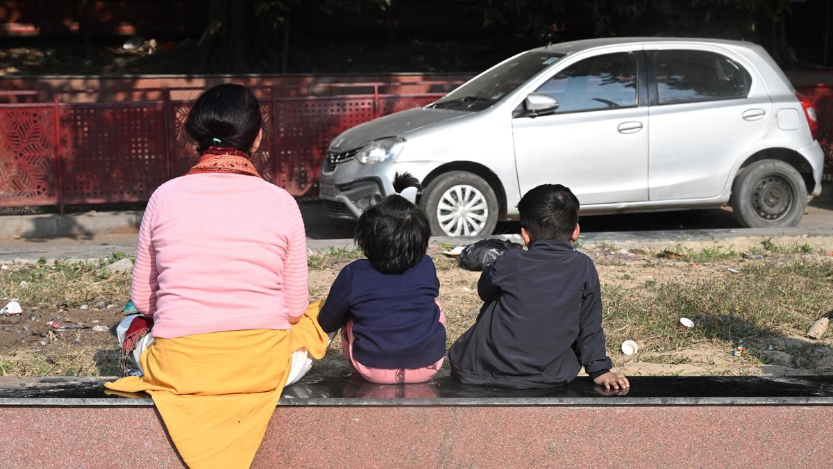 Wanted sons, unwanted daughters: sex determination takes digital turn
Premium