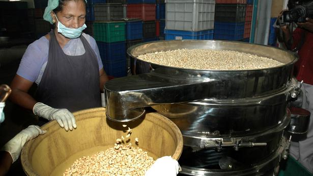KSCDC to seek GI tag for Kerala cashew