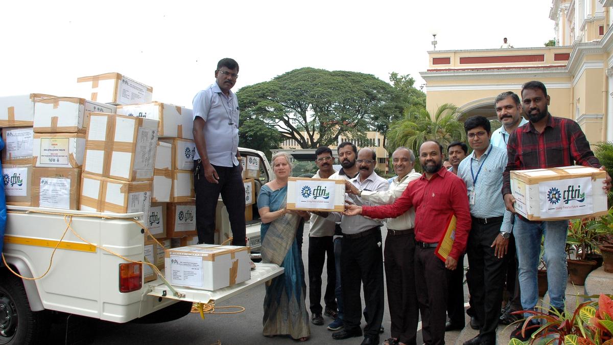 Wayanad landslides: CFTRI sends nutri-rich food products for survivors, rescuers