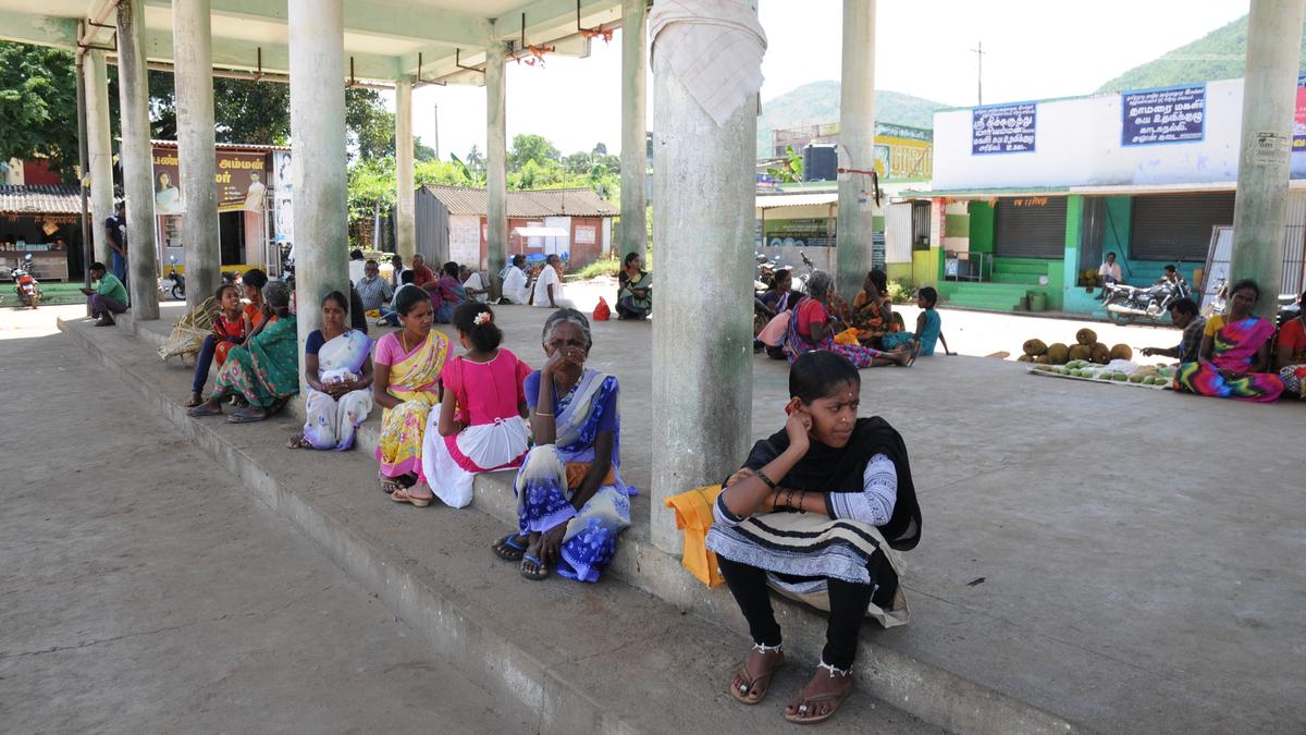 Tribal association wants free bus travel scheme for women in buses in hill areas