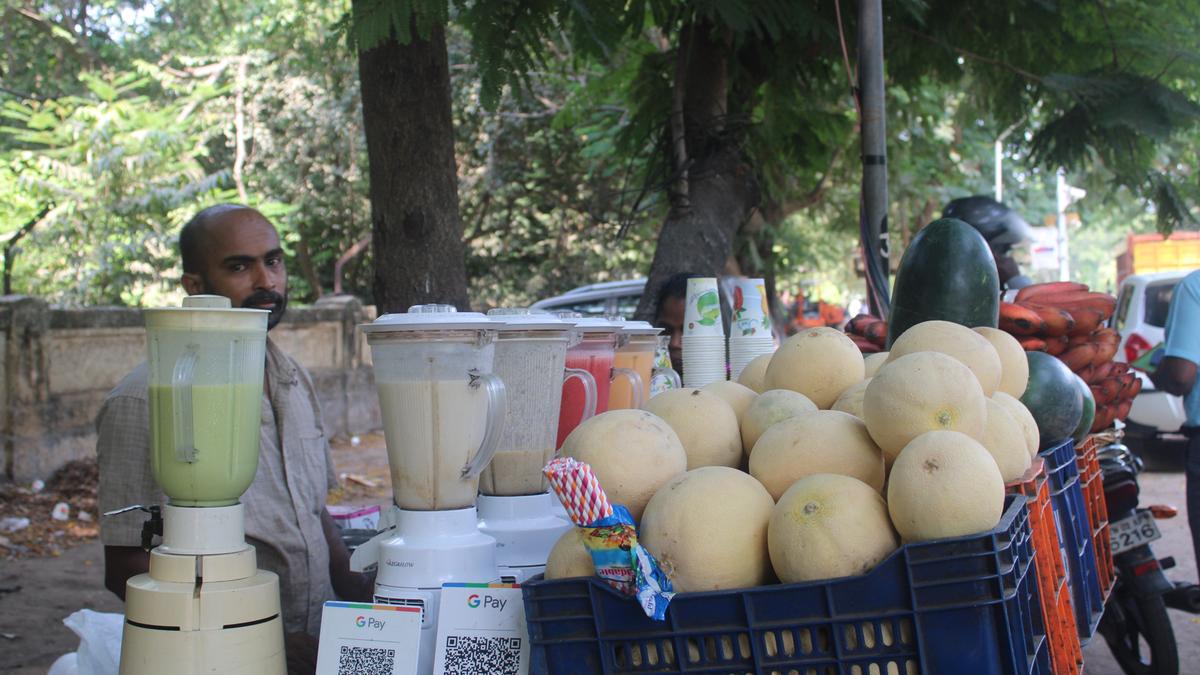 The many hats that seasonal vendors sport
Premium