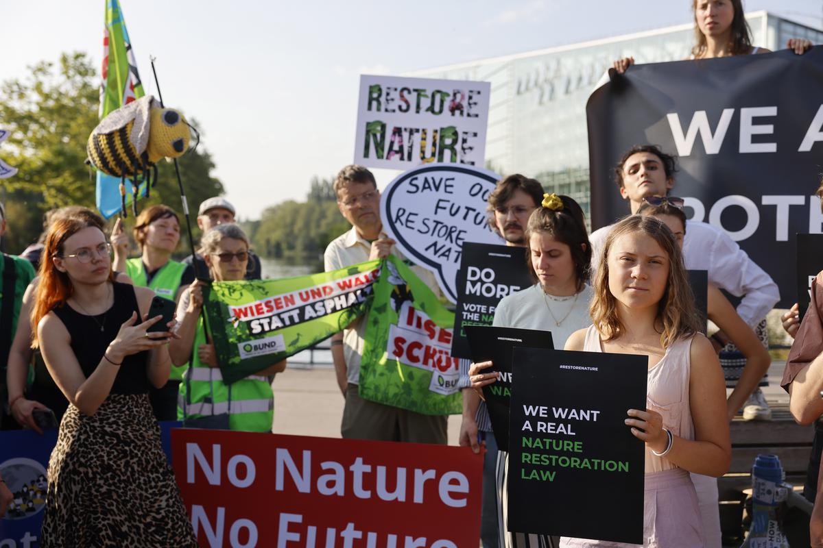 EU politicians back major plan to protect nature
