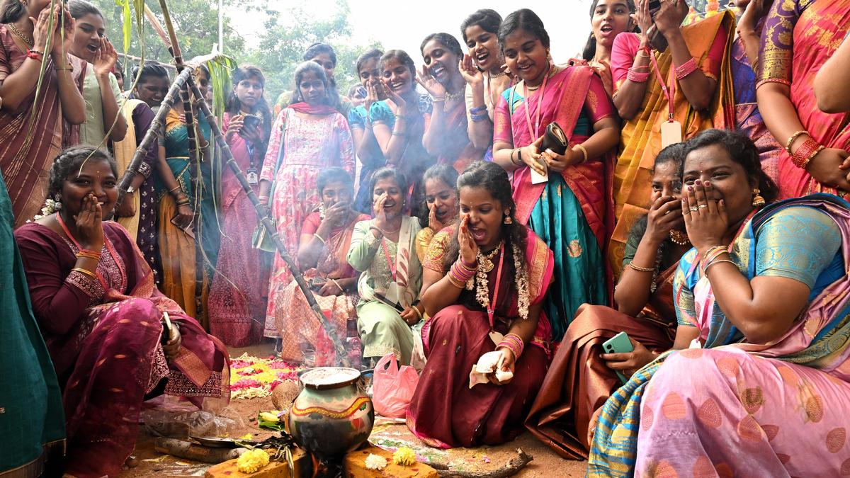 Pongal celebrations commence in a riot of colour
