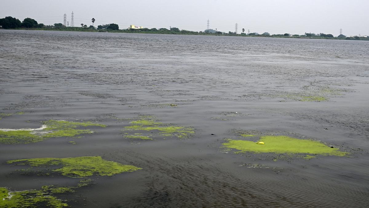 Rain in Tiruchi