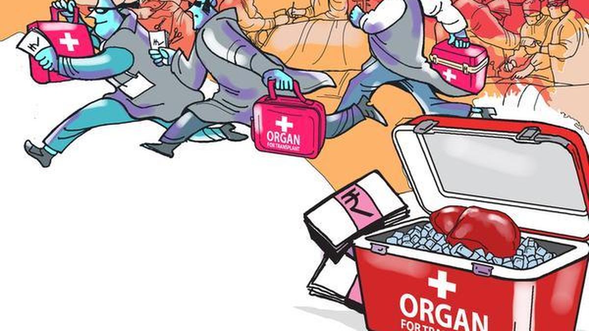 Police on alert as racketeers forge papers for organ trade