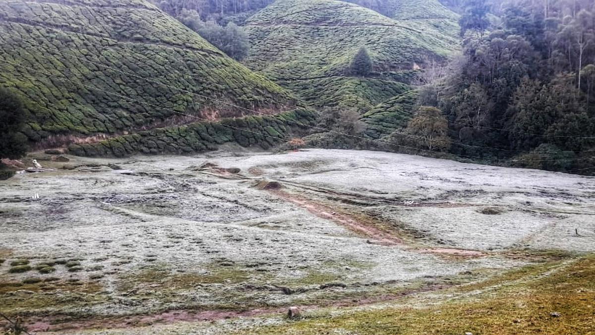 Munnar records season’s lowest temperature at –1 degree Celsius