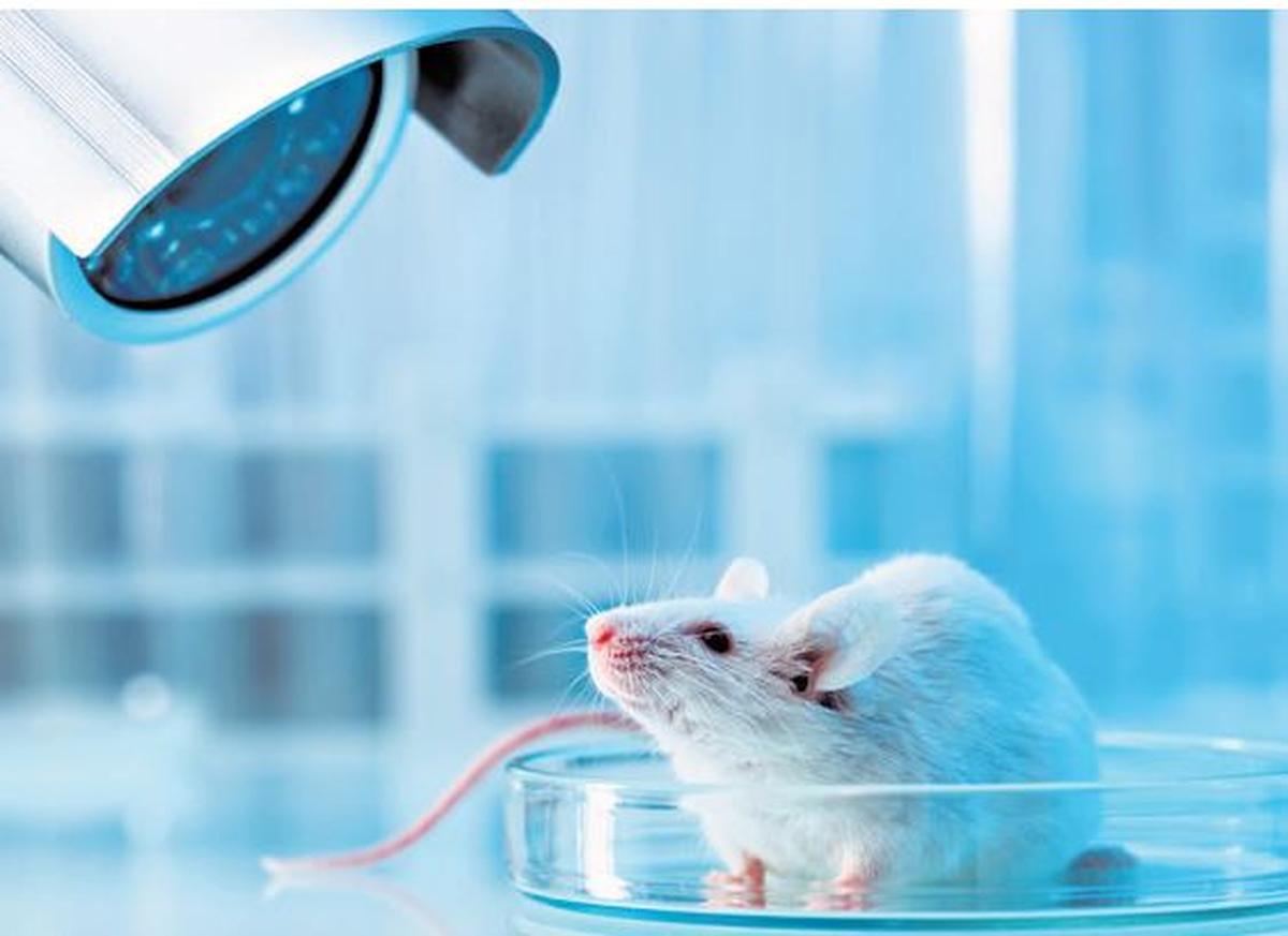 Has science evolved to record dreams? The Hindu