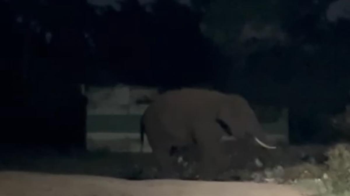 Madras High Court raises concern over waste dumping in places abutting forests