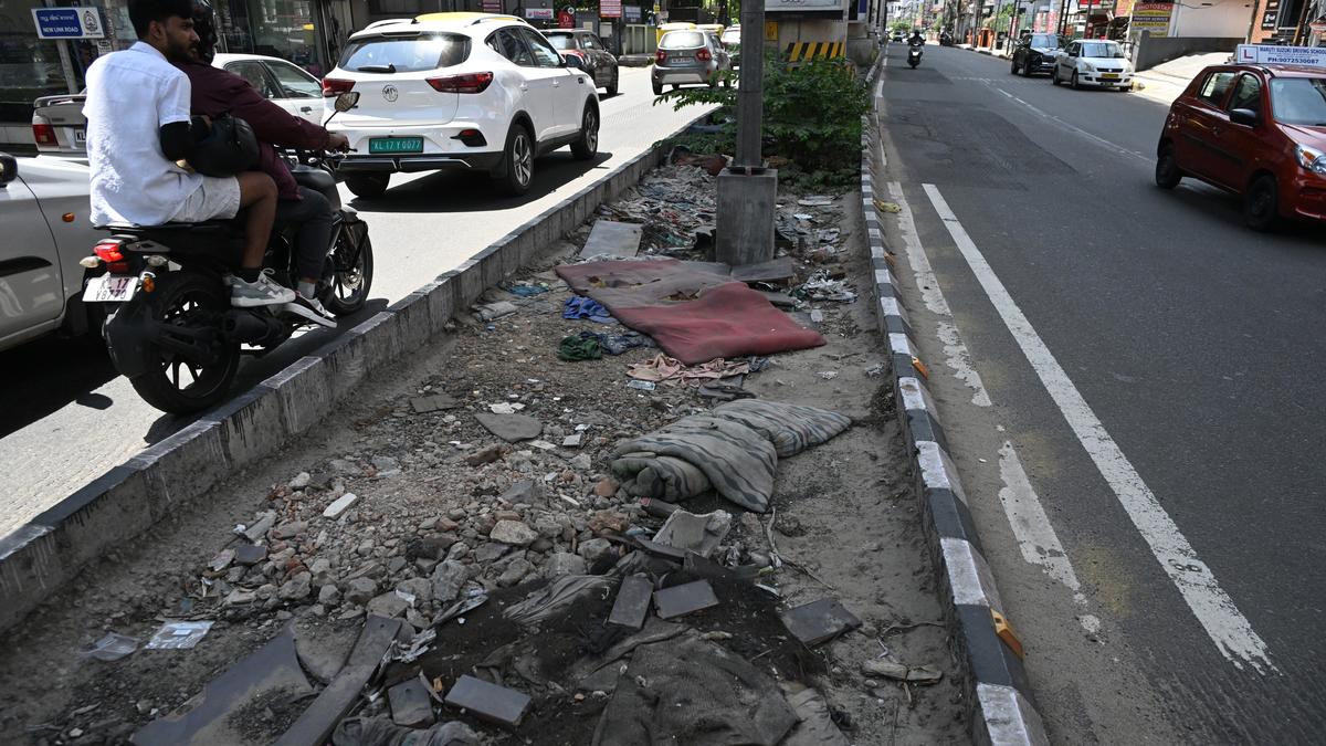 Upkeep of medians beneath metro viaduct in doldrums