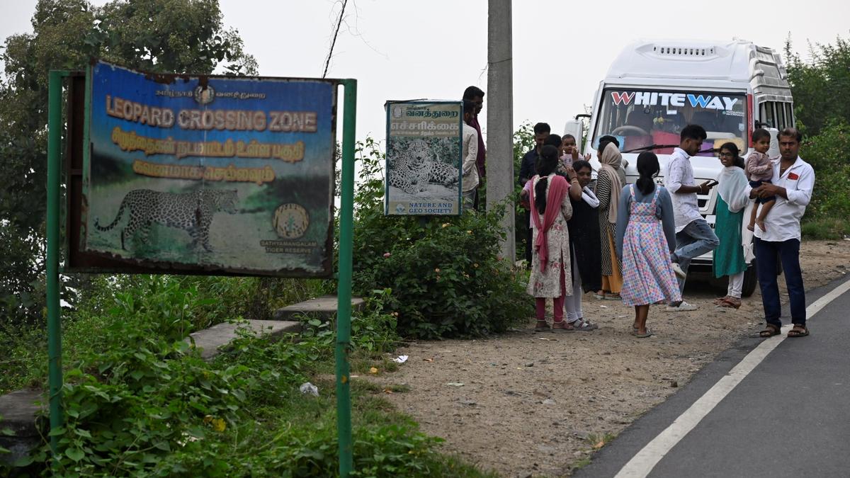 Tourists venture animal crossing zones on Dhimbam Ghat road despite warnings