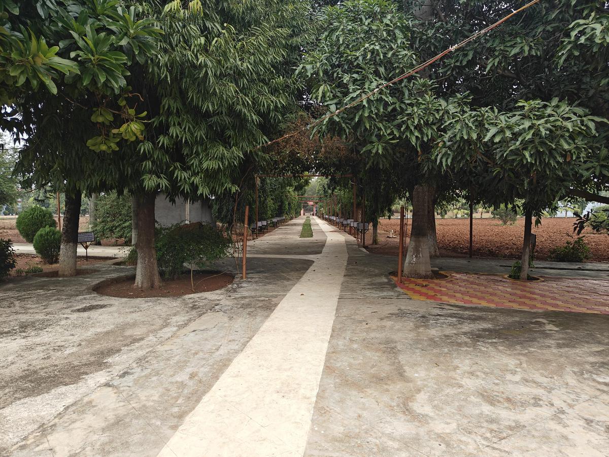 A view of the cemented pathways and grounds inside the Ashram. A view of the cemented pathways and grounds inside the Ashram.