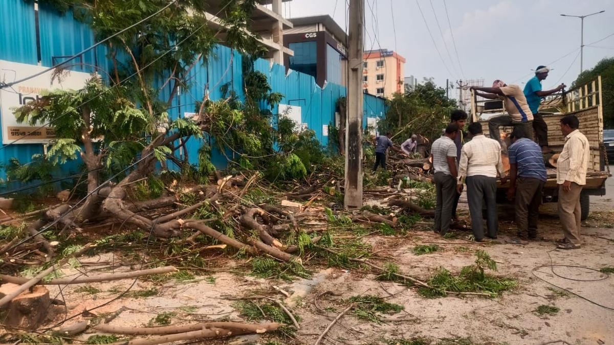 Poor man punished, officials get away in Hyderabad tree felling case