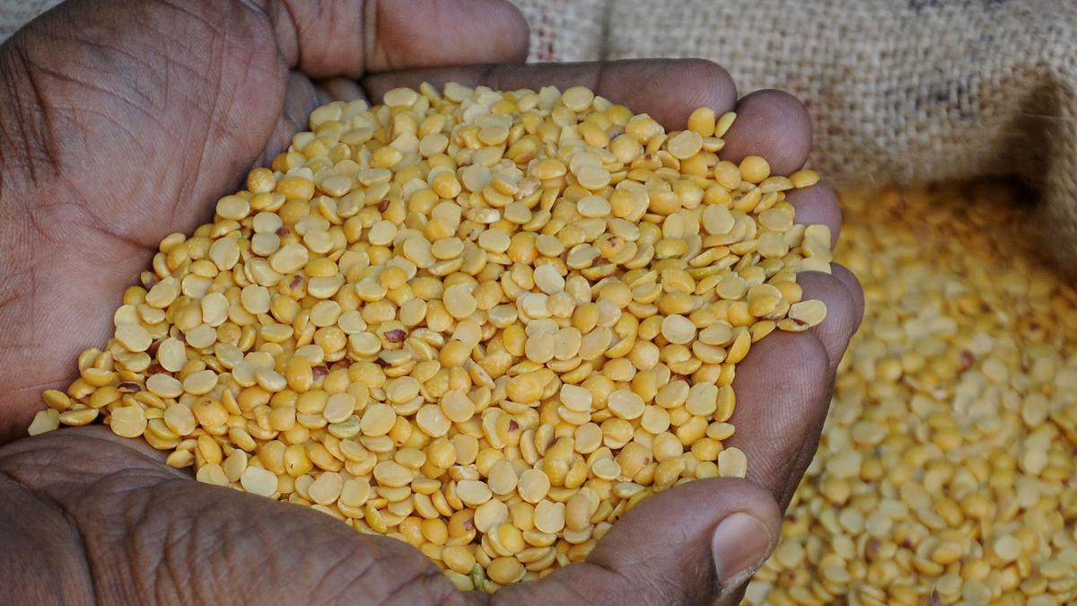 Households tighten belt as prices of pulses, rice go through the roof in Andhra Pradesh