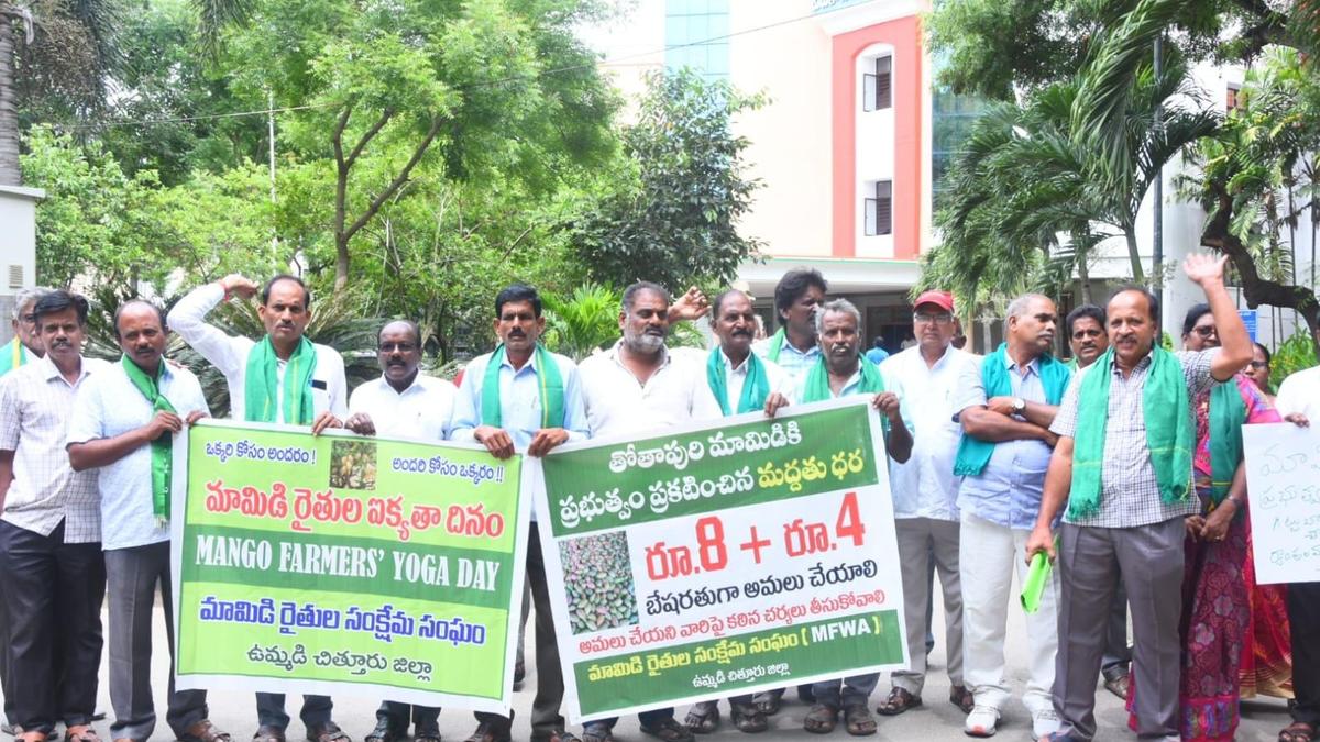 Mango farmers protest against low procurement prices offered by pulp industries in Chittoor