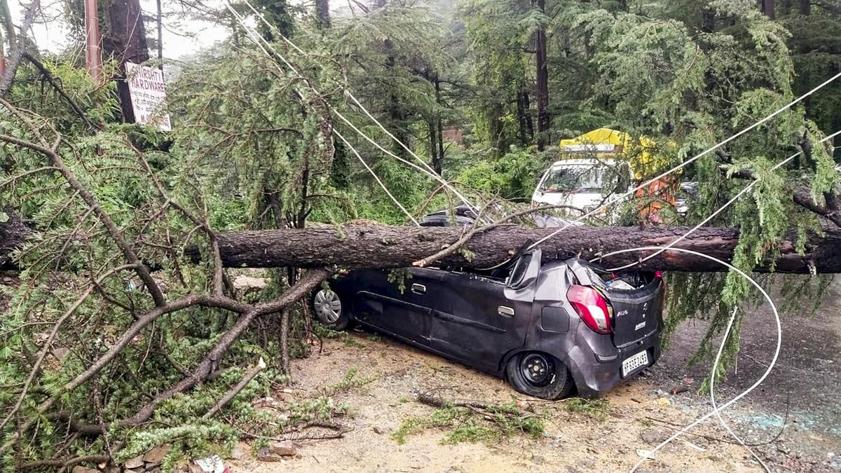 A vehicle crushed under an uprooted tree after heavy rainfall, in Shimla, Sunday, June 29, 2025. A vehicle crushed under an uprooted tree after heavy rainfall, in Shimla, Sunday, June 29, 2025.