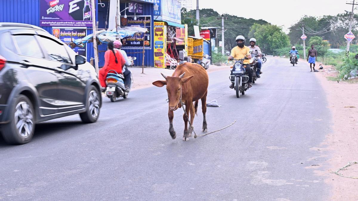 Madurai reader&rsquo;s mail