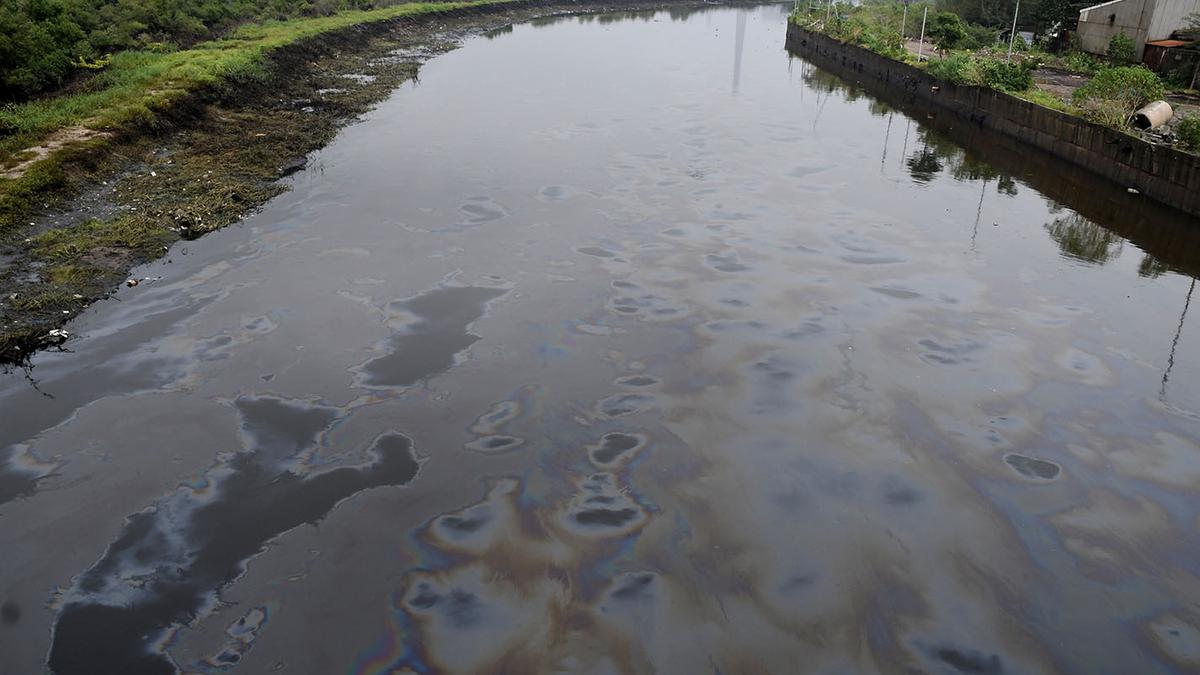 ’Matter of concern’: NGT directs TNPCB, WRD to file reports on ‘forever chemicals’ in Chennai waterbodies