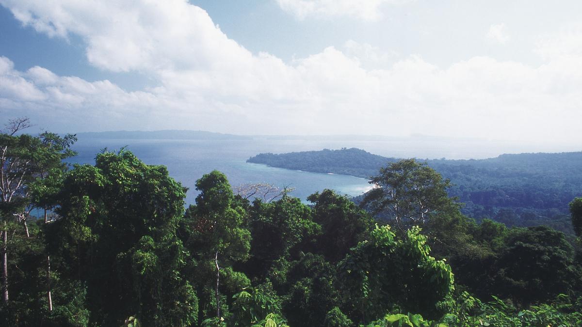 Why has NGT cleared the Nicobar project? | Explained