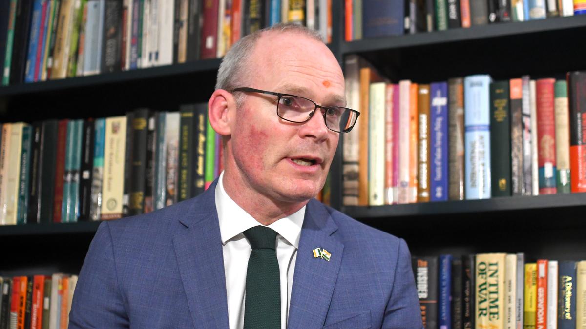 Israel’s war in Gaza has been beyond self-defence: Irish Minister Simon Coveney