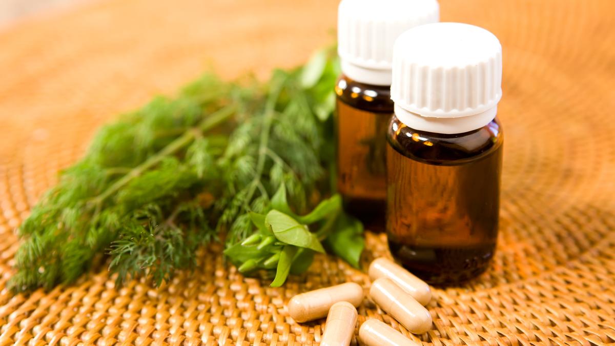 How will budget boosts, EU access remake AYUSH beyond India? | Explained