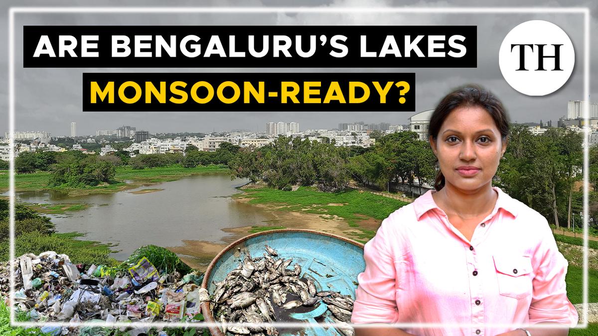Watch: Are Bengaluru’s lakes monsoon-ready?