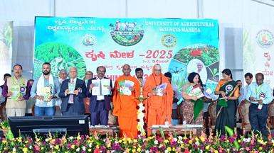 Mandya key to India achieving 20% ethanol blending with petrol target: S.E.  Sudheendra - The Hindu