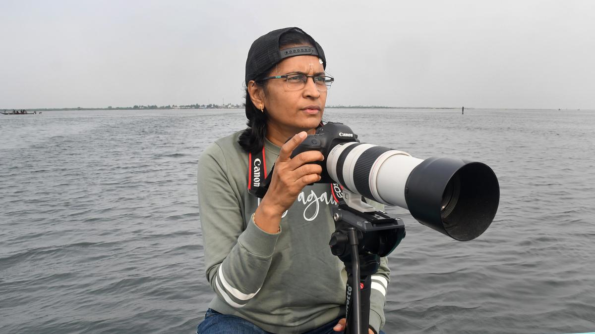 On a bird quest: Doctors in Chennai turn avid bird photographers