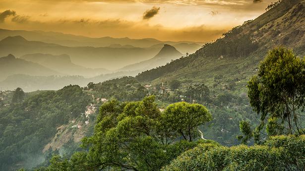 Watch | Two musicians recorded the sounds of the Western Ghats